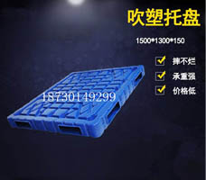 1513-150mm 吹塑塑料托盤